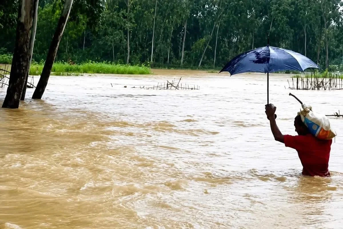 বন্যায় চট্টগ্রামে মৎস্যে ক্ষতি শতকোটি, ভুক্তভোগী ১০ হাজার চাষি