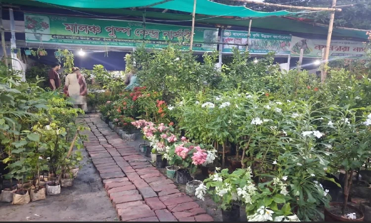 খুলনা বৃক্ষমেলায় সাড়ে ১৩ লাখ টাকার চারা বিক্রি