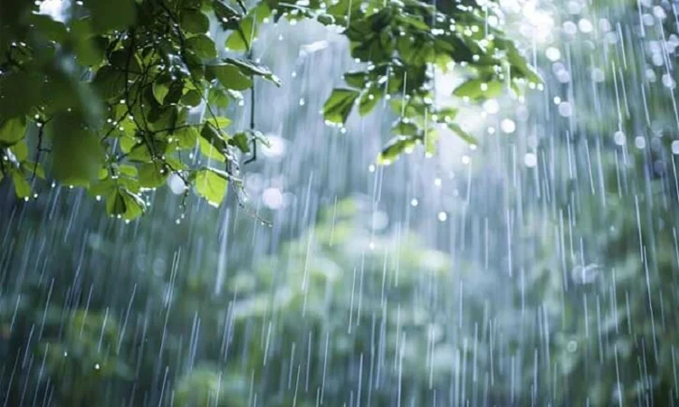 দেশের বিভিন্ন স্থানে বৃষ্টির সম্ভাবনা