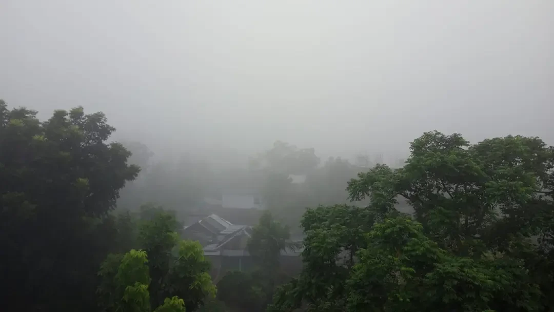 হঠাৎ ঘন কুয়াশায় ঢাকা পড়ল নীলফামারী