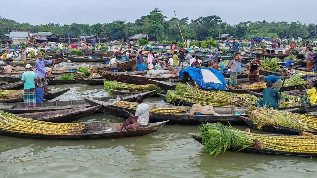 বেলুয়া নদীর বুকে ভাসমান বাজার, ৪ ঘণ্টায় ৭০ লাখ টাকার কেনাবেচা