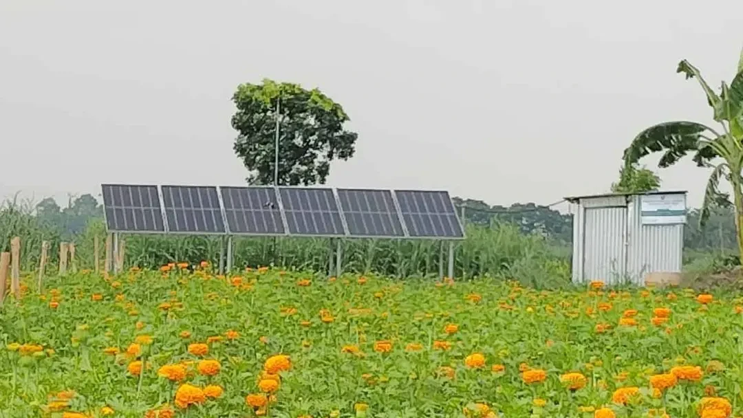 ঝিনাইদহে সোলার পাম্পে কমছে সেচ খরচ, বাড়ছে কৃষকের আয়